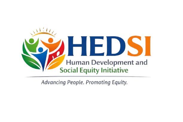 HEDSI Logo